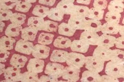 Tapete Dakini Bordeaux -Wallpaper-Featured-Store 325111 B Dakini 2880x1440