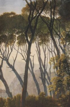 Wandbild Pine Trees Grüntöne -Wallpaper-Featured-Store 390801 A Pine Trees 2880x1440