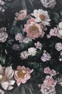 Tapete Sianna Schwarzgrün -Wallpaper-Featured-Store 451241 Sianna 2880x1440