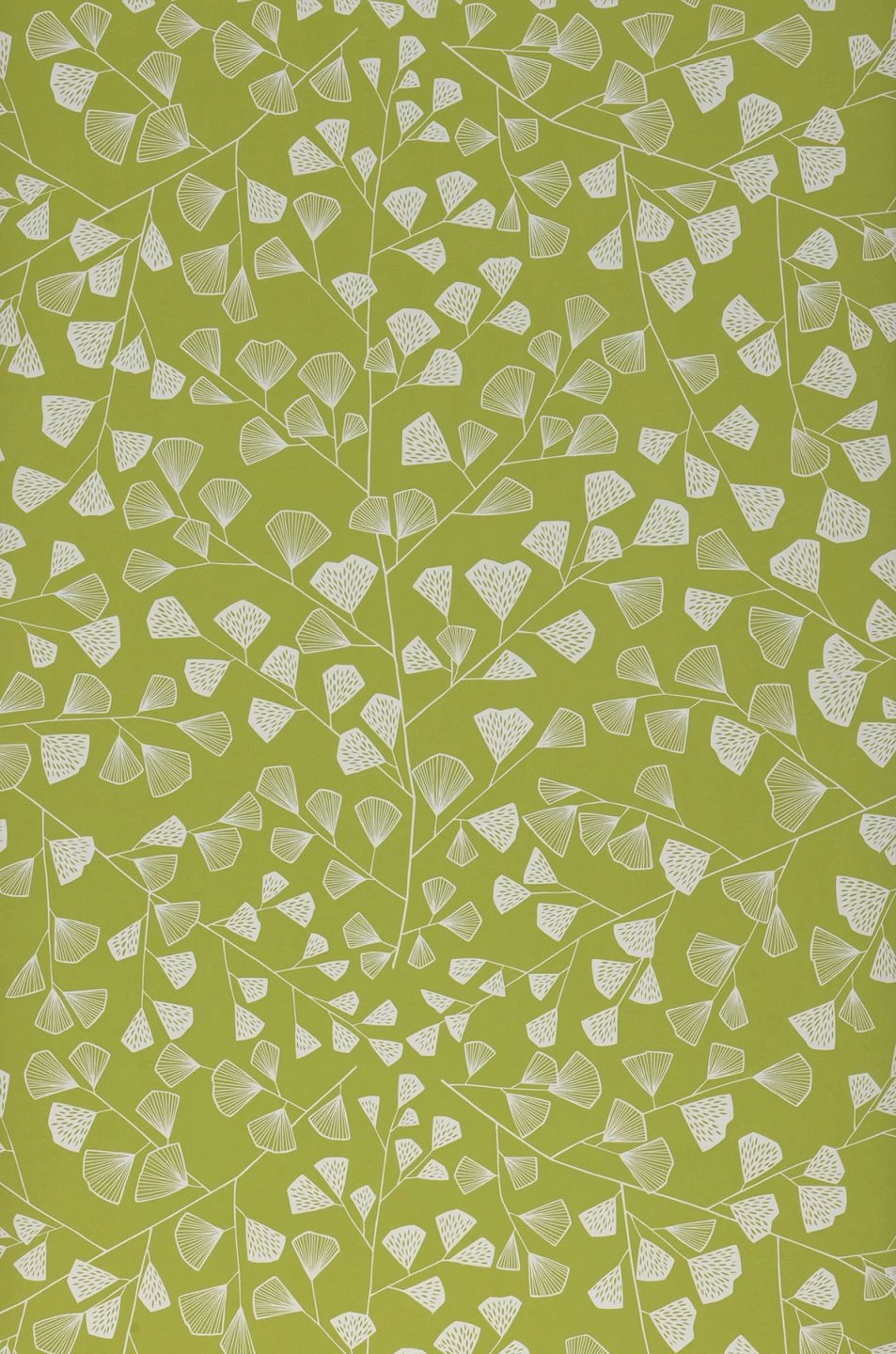Tapete Fern Hellgrün 4 Tapete Fern Hellgrün – Bild 2