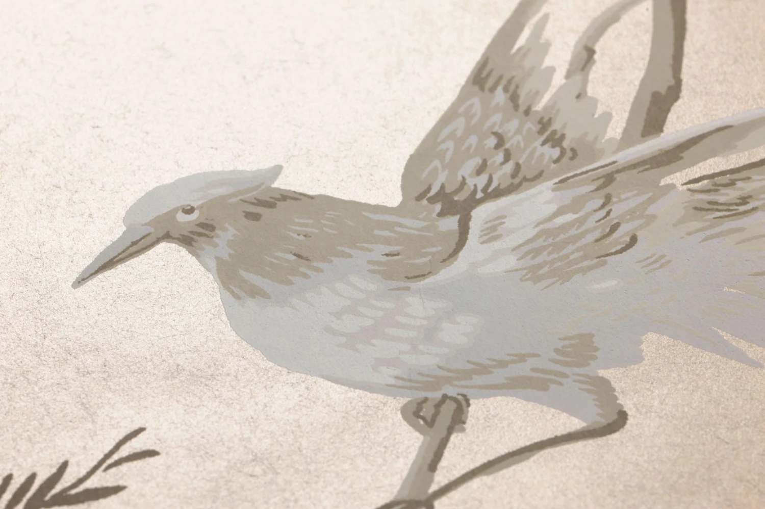 Tapete Coringa Perlbeige 4 Tapete Coringa Perlbeige – Bild 2