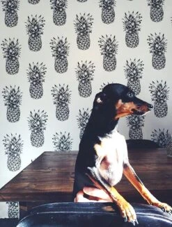 Tapete Pineapple Paradise Schwarzgrau 12 Tapete Pineapple Paradise Schwarzgrau -Wallpaper-Featured-Store Pineapple Paradise K 181211 2880x1440