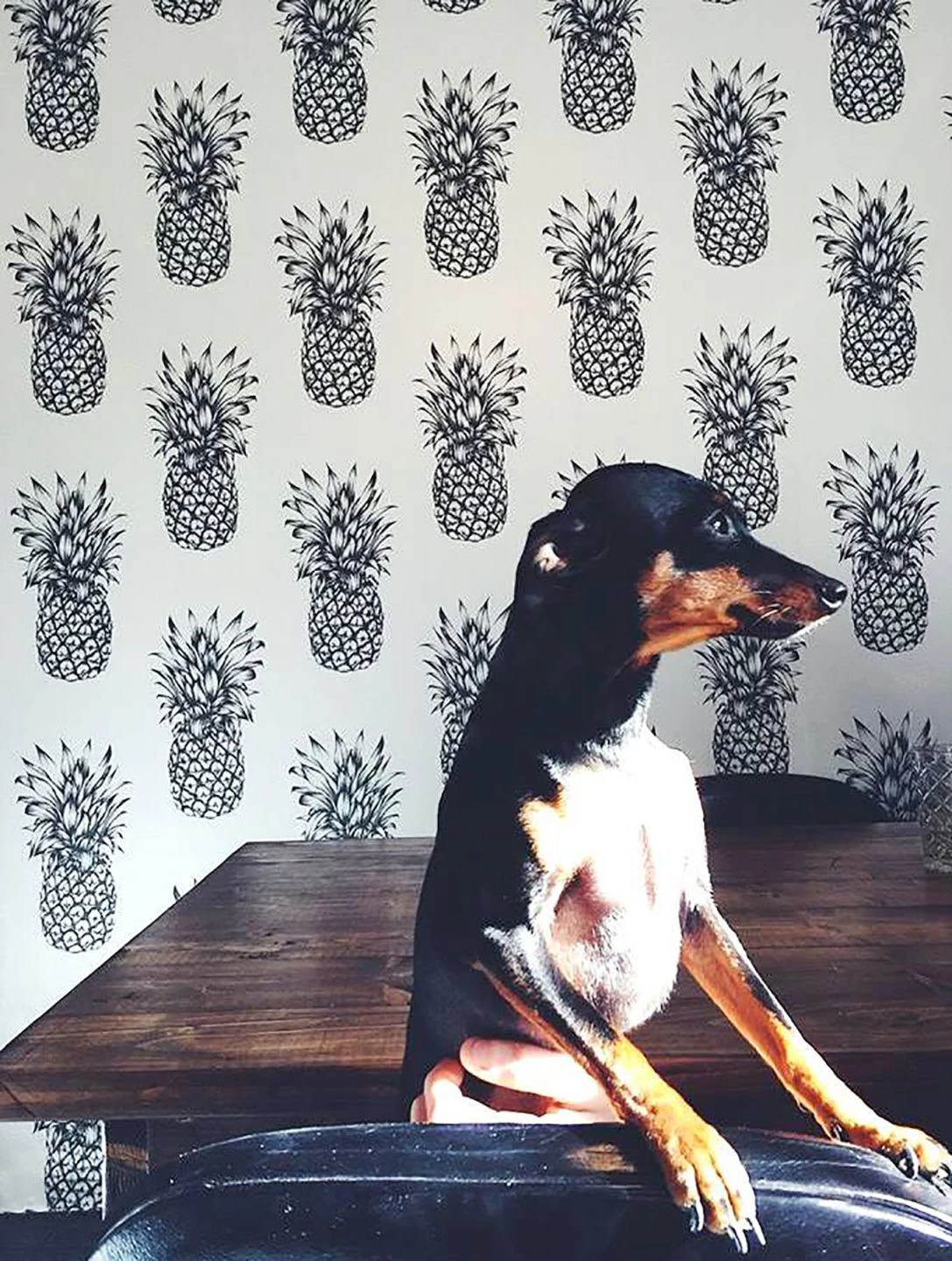 Tapete Pineapple Paradise Schwarzgrau 7 Tapete Pineapple Paradise Schwarzgrau – Bild 5